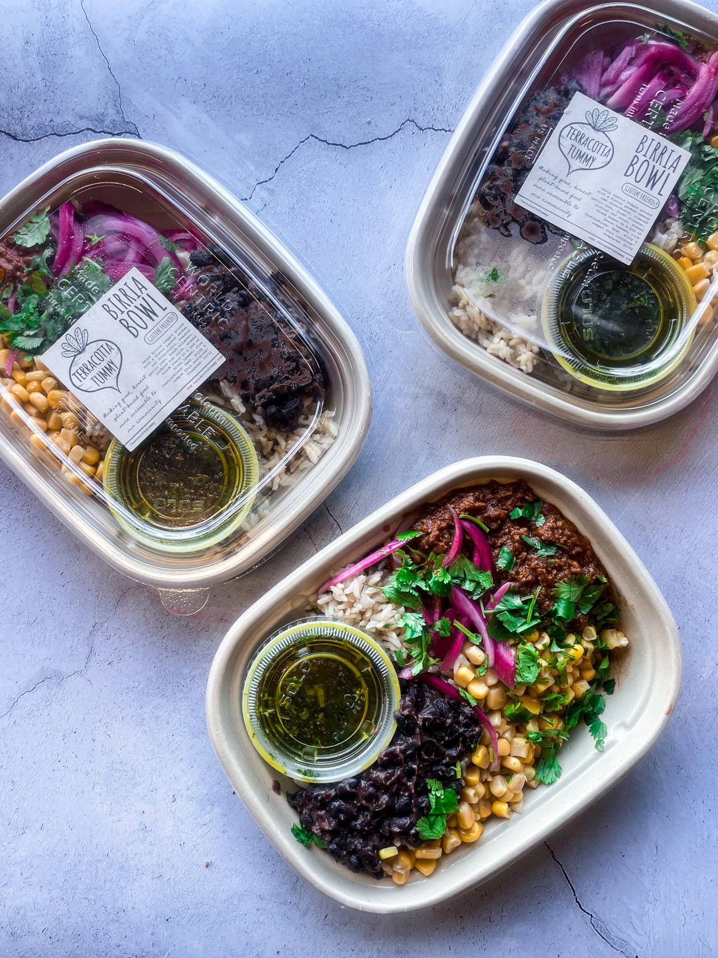BIRRIA BOWL (GF)