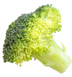 Veg image