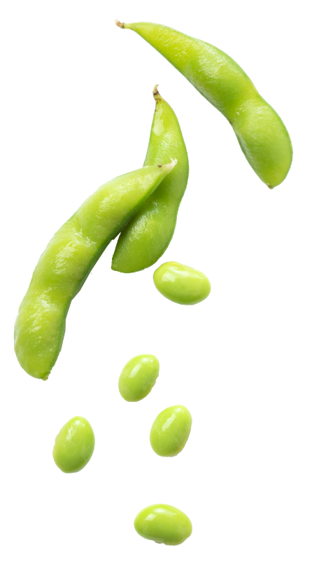 Veg image