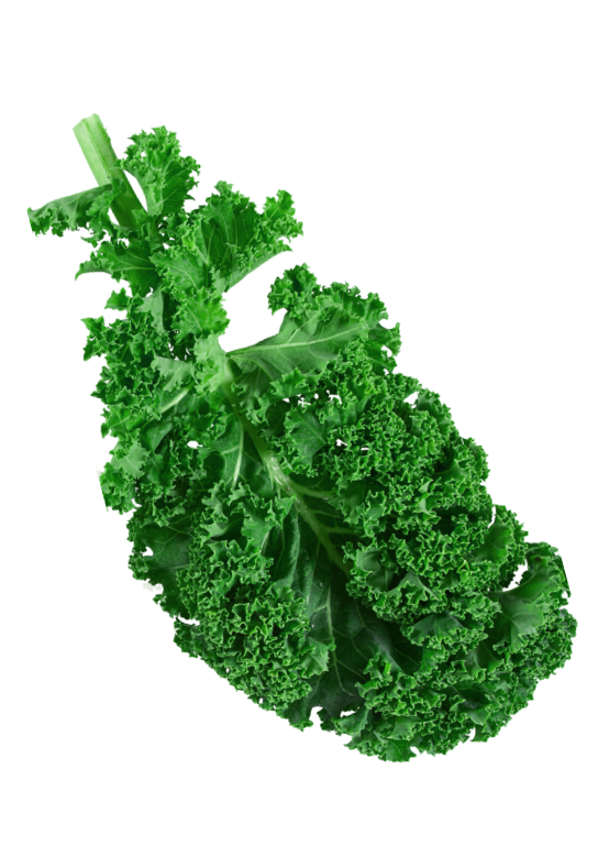 Veg image