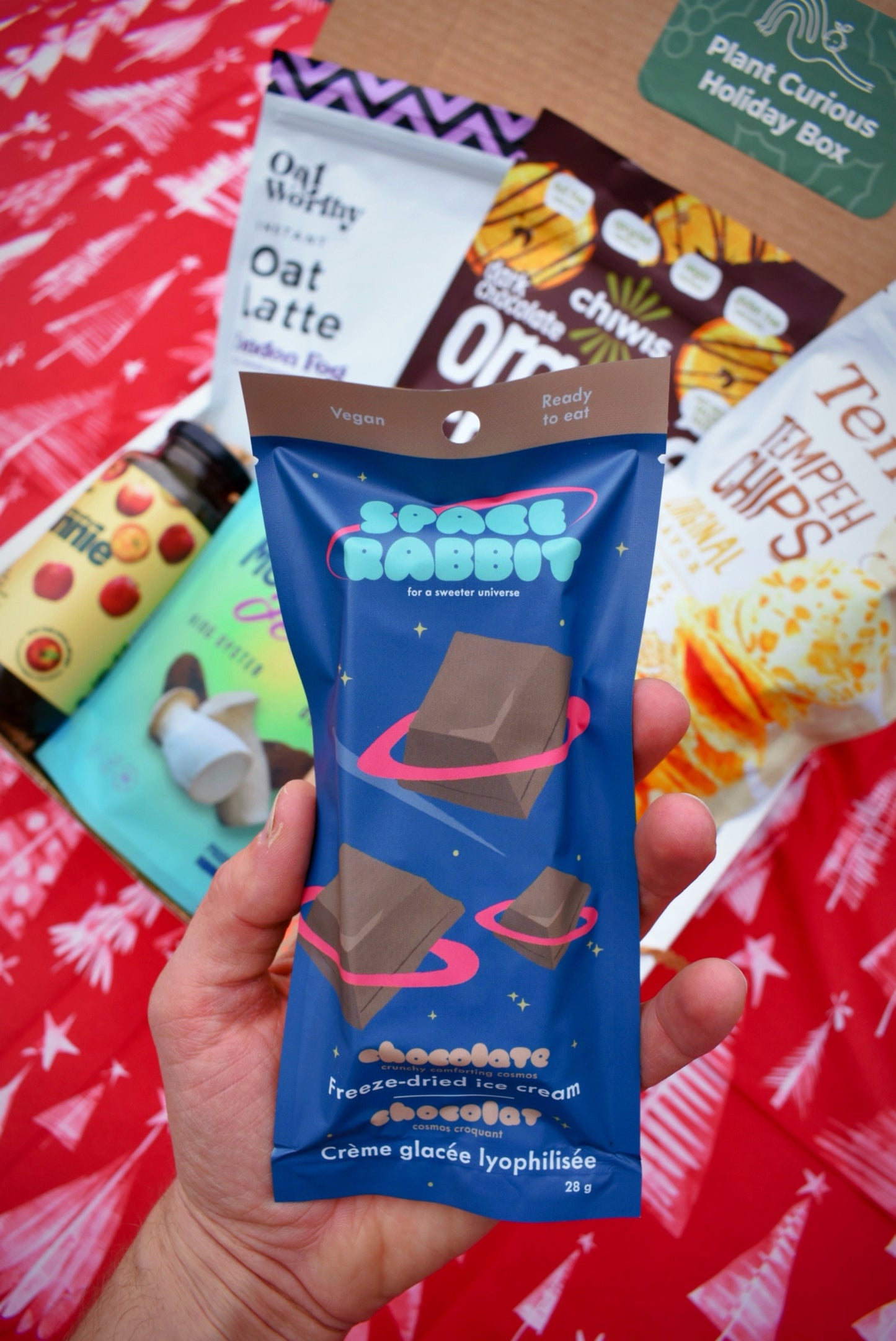 Plant Curious Holiday Box