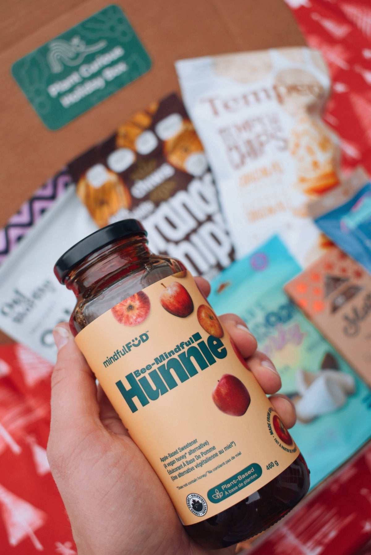 Plant Curious Holiday Box – Terracotta Tummy