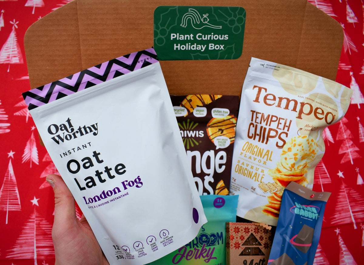 Plant Curious Holiday Box – Terracotta Tummy